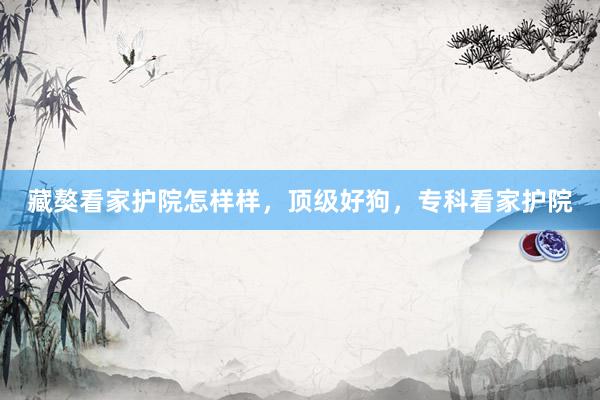 藏獒看家护院怎样样，顶级好狗，专科看家护院