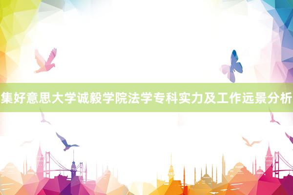 集好意思大学诚毅学院法学专科实力及工作远景分析